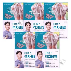 아텍스 스포츠 근육 격자테이프 혼합타입 A형 45p + B형 18p + C형 4p, 67매, 5세트