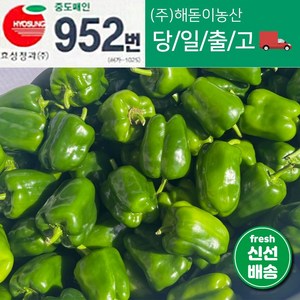 <해돋이농산> 국내산 못난이피망 초록피망 청피망 1kg 3kg 5kg 10kg(청파프리카), 1개