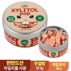 수제 장인 자일리톨 팝 캔디 사탕 핀란드산 100% 19종 유산균 요쿠르트, 70g, 1개