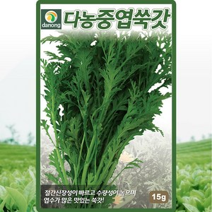 다농 중엽쑥갓 씨앗 15g, 1개