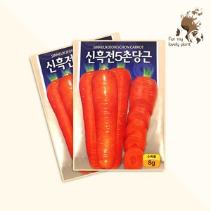 신흑전5촌당근 8g 미래종묘 뿌리채소류 씨앗, 1개