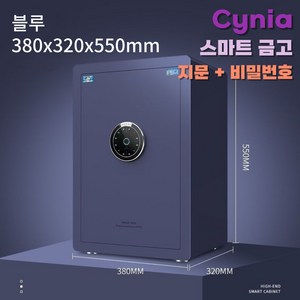 Cynia 예쁘고 튼튼한 가정용 금고 지문인식 비밀번호 소형부터 대형, 55cm, 블루