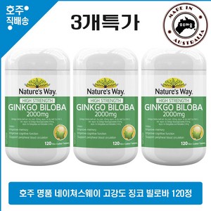 호주 명품 은행잎 추출 영양제 네이쳐스웨이 명품 고함량 징코 빌로바 2000mg 120정 3개특가, 3개