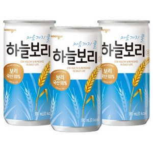 웅진 하늘보리 180ml 캔 보리음료 보리차, 60개