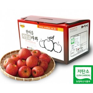 껍질째 먹을수 있는 장성사과(부사 소 5kg 24~30과), 1개