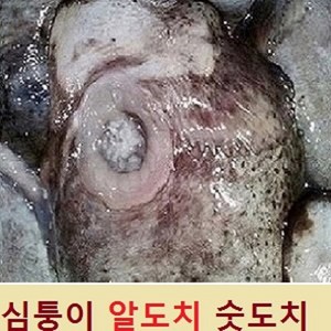 (쌍다리상회) 생물 심퉁이 알도치+숫도치 생물, 1개, 생물 알도치1+숫도치1 통마리 생물