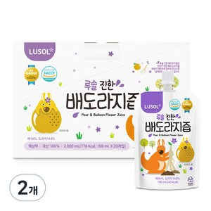 루솔 진한 배도라지즙 선물세트, 100ml, 40개