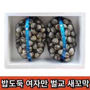 밥도독 여자만 벌교 새꼬막, 1개, 왕대2kg