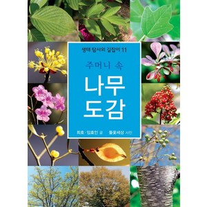 주머니 속 나무 도감, 황소걸음, 최호, 임효인