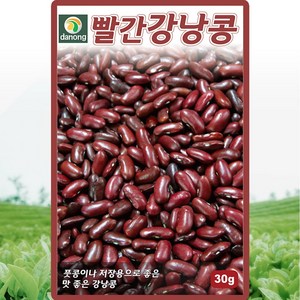 [모종심는아빠] 풋콩이나 저장용으로 좋은 맛 좋은 빨간강낭콩 종자 30g, 1개