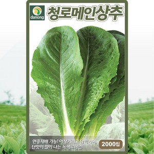 다농 청로메인상추 씨앗 2000립 그린로메인 상추씨 쌈채소 종자, 1개