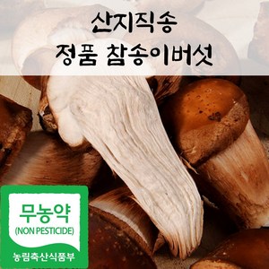 국내산 친환경 정품 참송이 버섯, 1박스, 300g(하품)