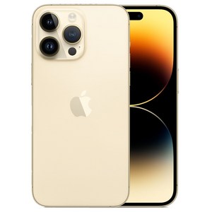 Apple 정품 아이폰 14 Po 자급제, 골드, 128GB