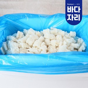 바다자리 솔방울 오징어 10kg 도매 벌크 대용량, 1개