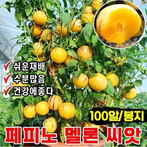 [생존율 높다] 100알/200알/300알 페피노 멜론 씨앗 페피노 모종 노란 과육 크림향 수분많은 건강에 좋은 과일 씨앗, 100개