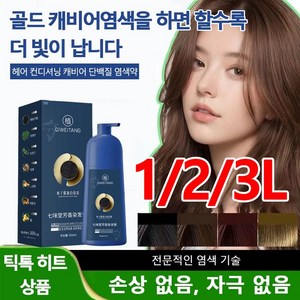 1L/2L/2.5L 골드 캐비어 단백질 염색약 순수염색약 거품염색약 버블염색약, 1개, 카키(2L)