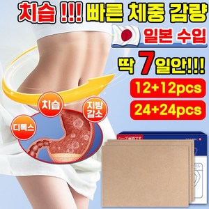 12매+12매 뱃살 다이어트 복부패치 바디배꼽패치 체중 감소 효과보장, 4개, 12개입