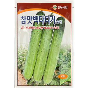 참맛백다다기 오이 씨앗 50립 우수한 과형 과색 백다다기 진농씨앗, 1개