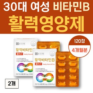 30대 여성 직장인 활력건강 수용성 비타민B 비오틴 판토텐산 나이아신 엽산 비타민b군영양제, 2개, 60정