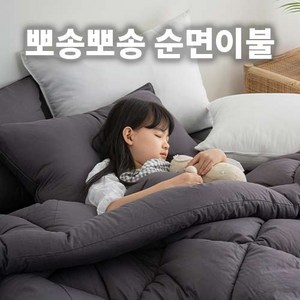 태제로나 고밀도 60수 순면이불 사계절 차렵이불 SS/Q 5colo