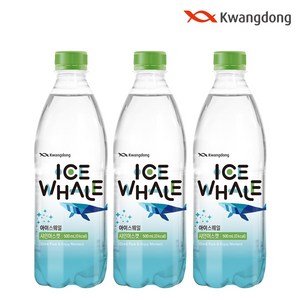 아이스웨일 탄산수 샤인머스캣, 20개, 500ml