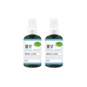 더허브샵 쿨샷 스프레이 페퍼민트향, 100ml, 2개