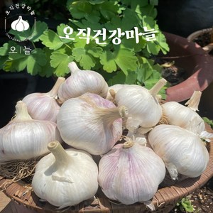 국내산 안깐마늘 대서통마늘 2kg, 1개