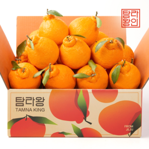 탐라왕 한라봉, 1박스, 4.5kg 중과(16~20과)