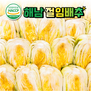 오마이찬 해남 절임배추 - 100% 국산 HACCP 절임배추 김장배추, 20kg