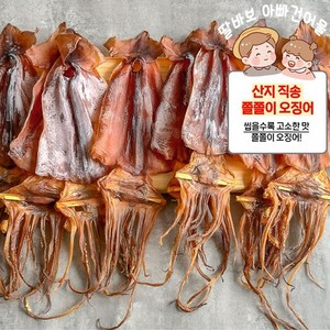 [산지 직송] 국내산 굽지 않고 바로 먹는 고소하고 쫄깃한 삼천포 쫄쫄이 오징어, 1개, 500g (6-10미)