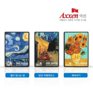 액센 V100 SSD 2.5 SATA3 Van Gogh Seies 120GB~1TB, 1TB
