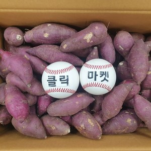 클릭마켓 당일상품 세척 꿀고구마 특품 베니하루카 햇 겨울 고구마 해남 영암 전남, 1개, 5kg