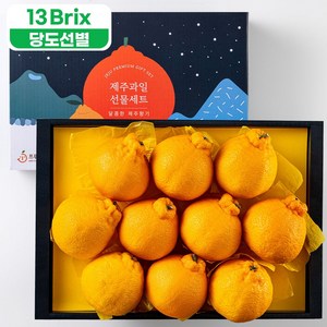 프루미츠 제주 중문농협에서 엄선한 제철 한라봉 3kg 선물세트, 1개