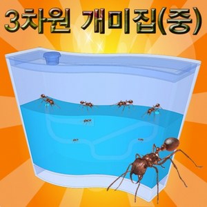 3차원 개미집(중), 1개