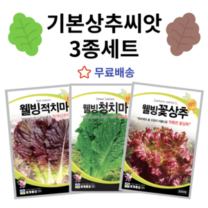 주주씨앗 기본 상추 씨앗 3종세트 웰빙 적치마 청치마 꽃상추 종자 상추씨 쌈채소, 1개