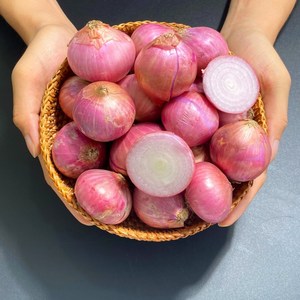 수작업 선별 아삭아삭 맛있는 샬롯 모충 미니양파 Shallot, 중국 샬롯 모충 5kg, 1개