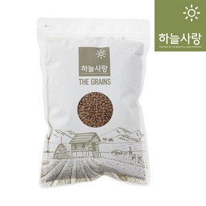 하늘사랑 브라운렌틸콩 1kg, 1개