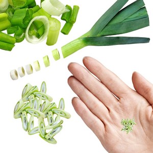 미니어처 만들기 납골당 꾸미기 DIY 수공예 토핑, A11번 양념용 대파20개
