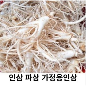 금산 인삼 파삼 못난이 인삼 1kg 세척파삼 세척인삼 파삼가정용 5년근 6년근 수삼 난발삼, 1개, 세척해주세요(0)