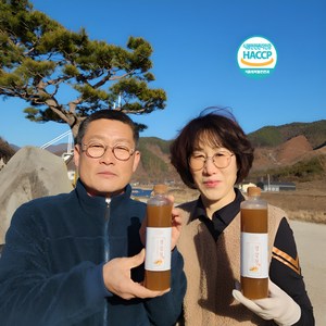 (무료배송)﻿ 지리산 산골장터 생강청 생강진액차 600g ﻿, 1개