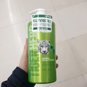 엘라스틴 오가니스트 더마 스칼프 타이거 허브샴푸 건성두피 900ML, 1개