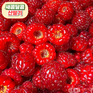 [산지직송] 새콤달콤 생 산딸기, 1개, 250g 1팩