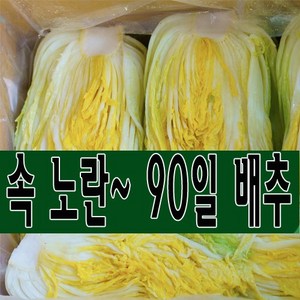 속 노란 90일 배추 괴산 절임배추 20kg (7-10포기) 도착일을 선택해주세요., 도착일 12월 06일