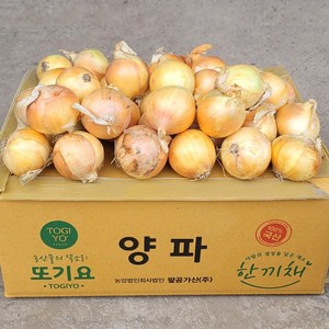 장아치용 양파 10kg 실속형 국산 미니 양파(소) 산지직송 식당 가정용, 1개