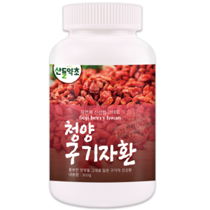 청양 구기자환 300g 100% 국산 청양 구기자로 정성드려 만든 건강환, 1개