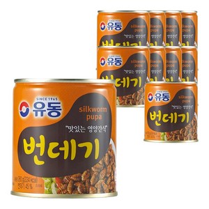 유동 번데기, 280g, 10개