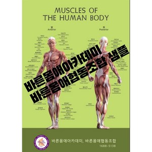 바른몸애 협동조합 체형관리 통증관리 바른자세 근육도(바른몸애 제작), 가로60cm세로90cm