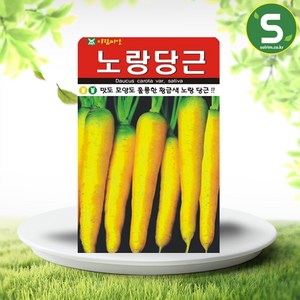 노랑당근씨앗 500립 황금색 당근씨앗 노랑당근, 1개