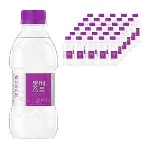 몽베스트 생수, 330ml, 40개