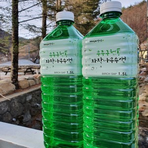 무주구천동 자작나무수액 자작나무물, 11개, 1.5L